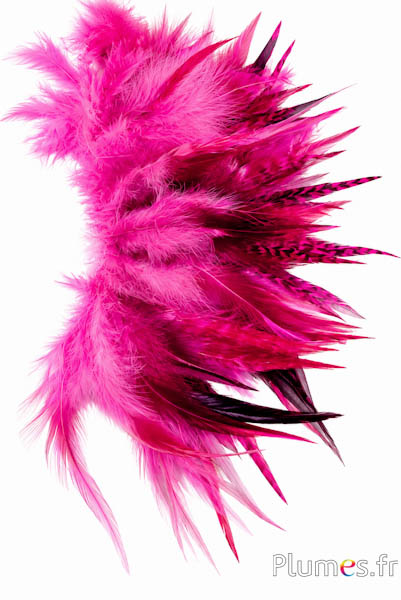 Haan - 10-15 cm - gemengde pink-roze-bruin
